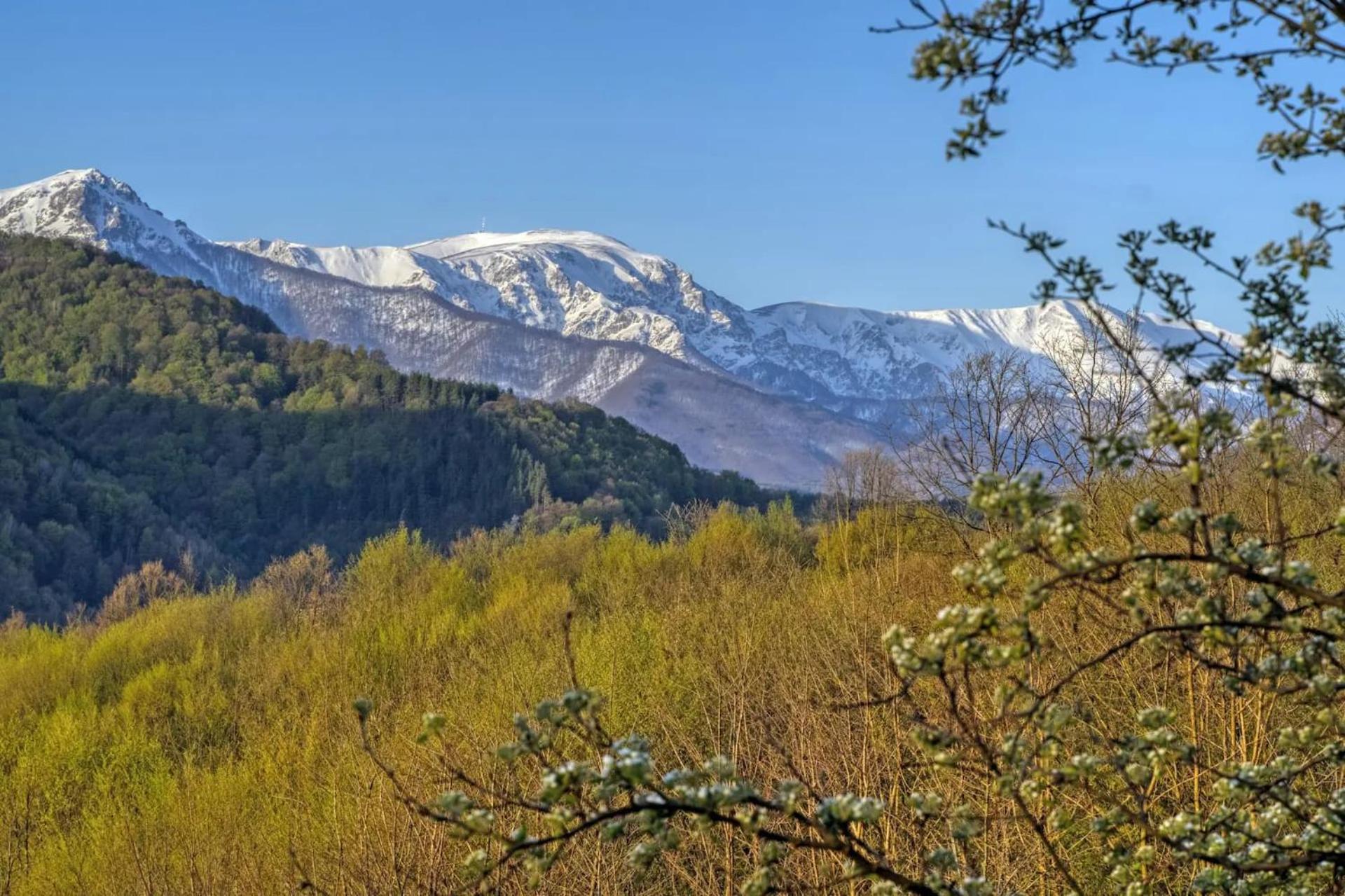Authentic House With Stunning Mountain View - Karashka Vila Apriltsi  Exterior foto