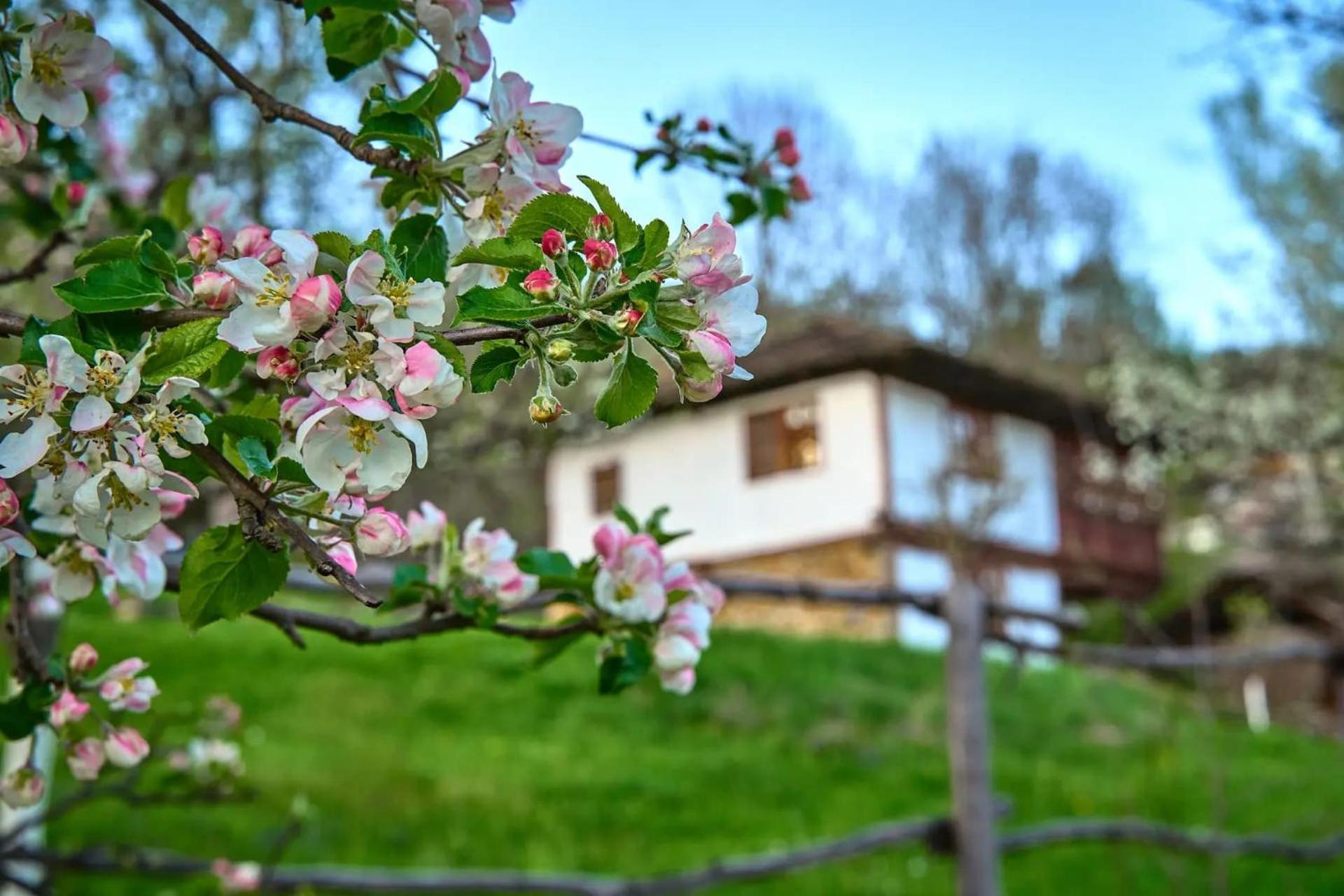 Authentic House With Stunning Mountain View - Karashka Vila Apriltsi  Exterior foto